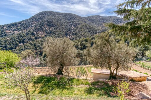 000551- PARQUE NATURAL DEL MONTNEGRE - Imagen 32