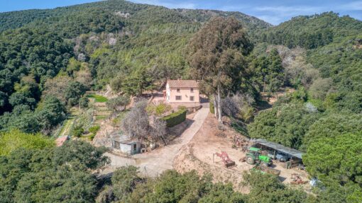 000551- PARQUE NATURAL DEL MONTNEGRE - Imagen 41