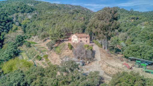 000551- PARQUE NATURAL DEL MONTNEGRE - Imagen 43