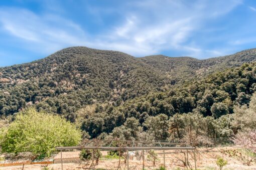 000551- PARQUE NATURAL DEL MONTNEGRE - Imagen 45
