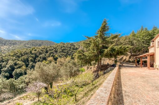 000551- PARQUE NATURAL DEL MONTNEGRE - Imagen 46