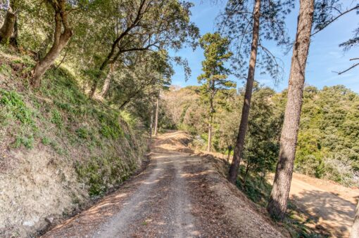 000551- PARQUE NATURAL DEL MONTNEGRE - Imagen 47