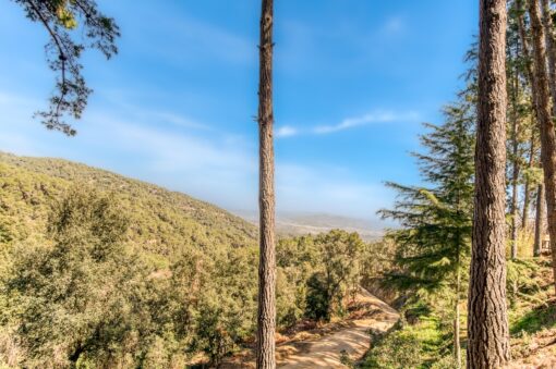 000551- PARQUE NATURAL DEL MONTNEGRE - Imagen 48