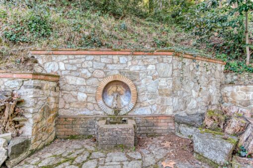 000551- PARQUE NATURAL DEL MONTNEGRE - Imagen 52