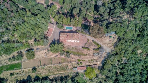 000551- PARQUE NATURAL DEL MONTNEGRE - Imagen 57