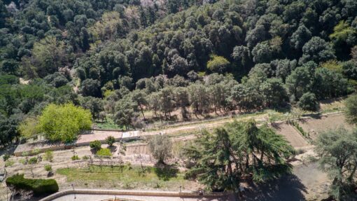 000551- PARQUE NATURAL DEL MONTNEGRE - Imagen 60