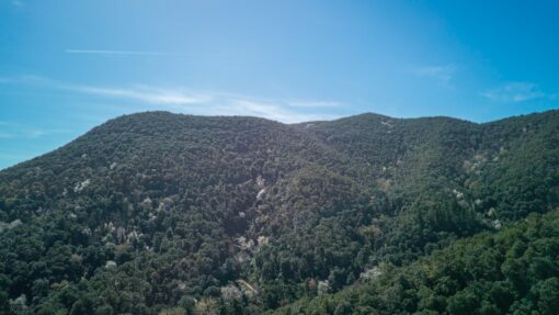 000551- PARQUE NATURAL DEL MONTNEGRE - Imagen 61