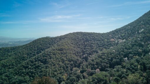 000551- PARQUE NATURAL DEL MONTNEGRE - Imagen 62