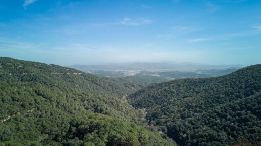 000551- PARQUE NATURAL DEL MONTNEGRE - Imagen 63