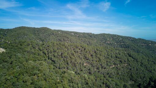 000551- PARQUE NATURAL DEL MONTNEGRE - Imagen 64