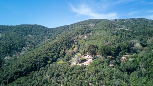 000551- PARQUE NATURAL DEL MONTNEGRE - Imagen 65