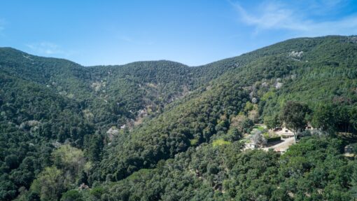 000551- PARQUE NATURAL DEL MONTNEGRE - Imagen 66