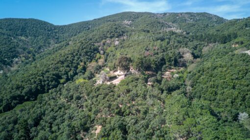 000551- PARQUE NATURAL DEL MONTNEGRE - Imagen 67