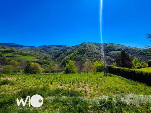 000643 – MOLLÓ - Imagen 12