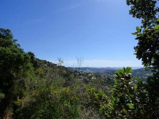 000651 SOLAR EN CALONGE - Imagen 3
