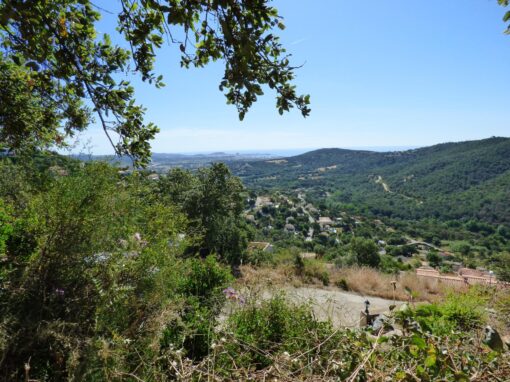 000651 SOLAR EN CALONGE
