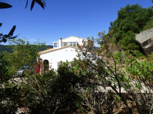 000651 SOLAR EN CALONGE - Imagen 8