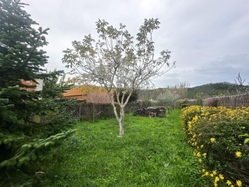 000703- BOADELLA D’EMPORDÀ CASA RURAL - Imatge 23