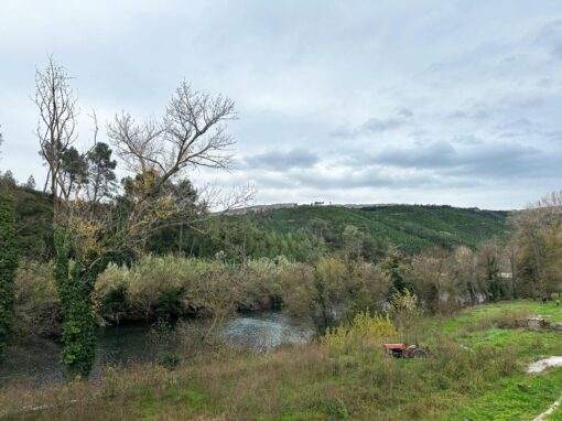 000703- BOADELLA D’EMPORDÀ CASA RURAL - Imatge 26